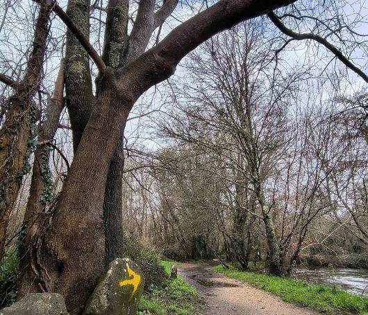 619137227_10239178830145797_5967262089122107535_n