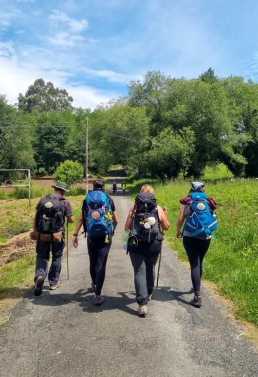 Caminho-de-Santiago-768x1024